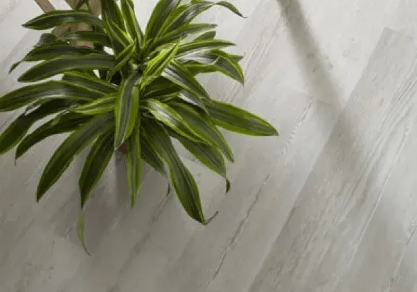 Laminate | Western States Flooring