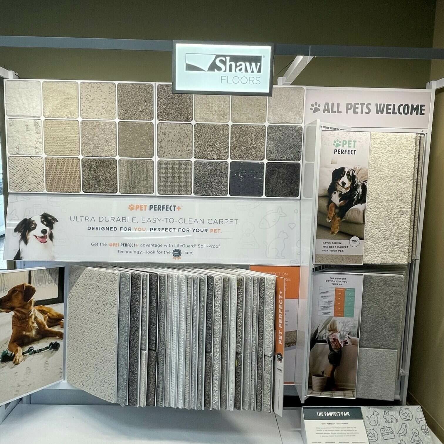 western-states-flooring-Shaw-pet-perfect-display-pic81-square